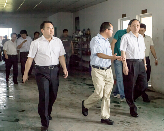 安徽省委副書(shū)記、省長(zhǎng)王學(xué)軍蒞臨安徽柯力視察