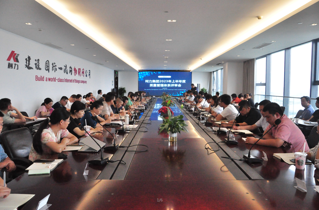 集團(tuán)公司召開2023年（下）管理評審大會